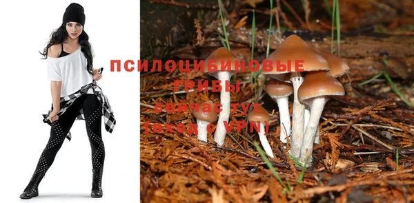 ECSTASY Алексеевка