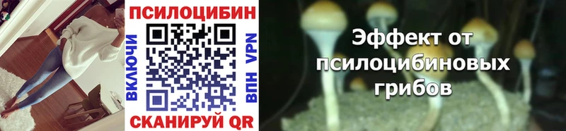 продажа наркотиков  Спасск-Рязанский  Галлюциногенные грибы Cubensis 